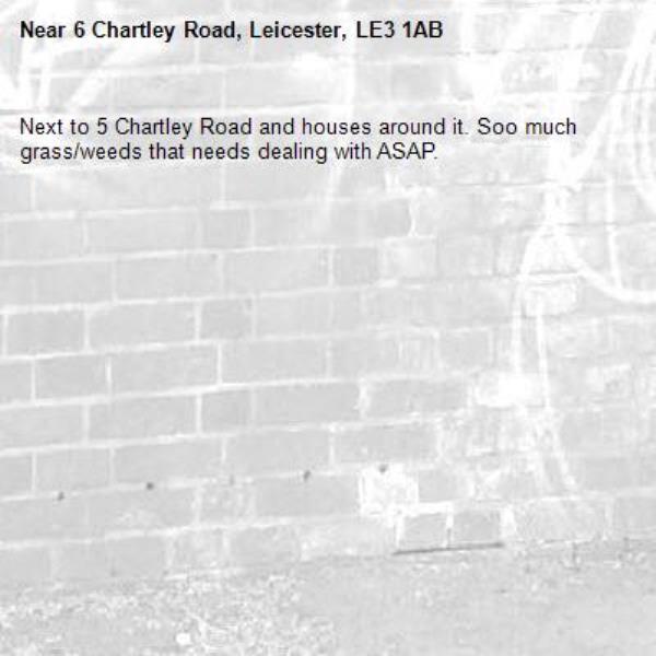 Next to 5 Chartley Road and houses around it. Soo much grass/weeds that needs dealing with ASAP.-6 Chartley Road, Leicester, LE3 1AB