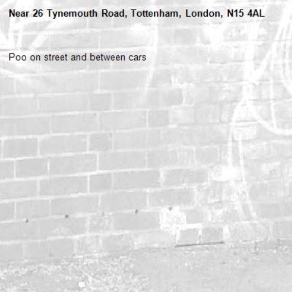 Poo on street and between cars-26 Tynemouth Road, Tottenham, London, N15 4AL