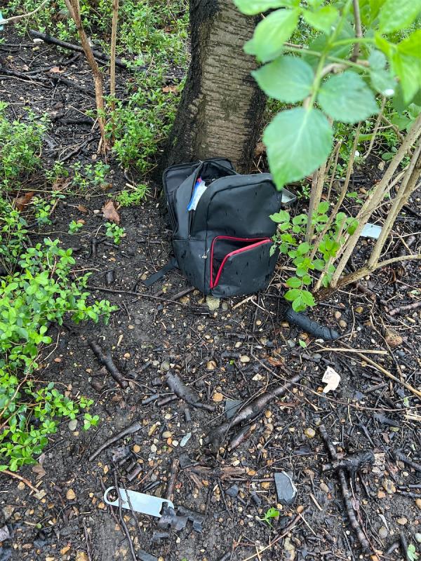 syringes and dildo been left in the bush -Strait Road, Beckton, London