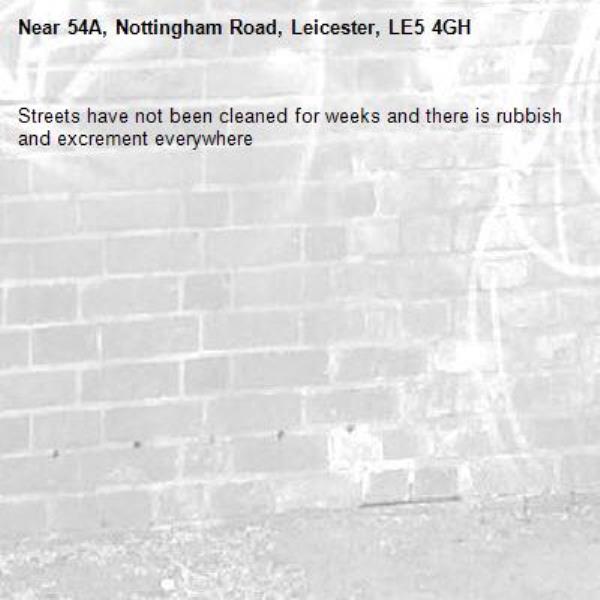 Streets have not been cleaned for weeks and there is rubbish and excrement everywhere -54A, Nottingham Road, Leicester, LE5 4GH