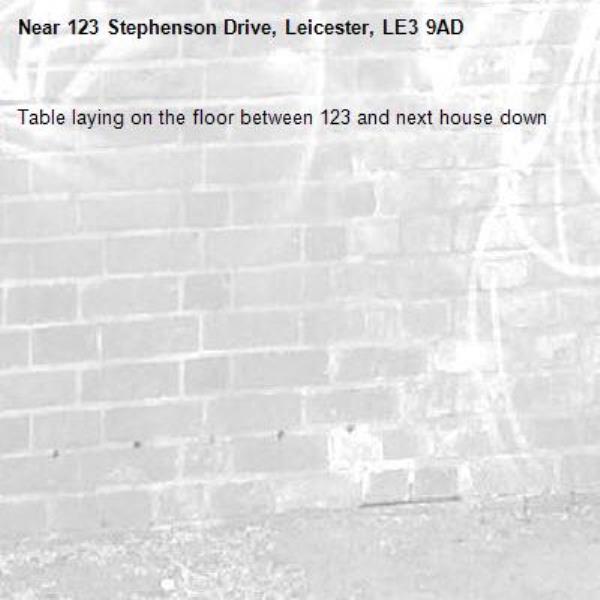 Table laying on the floor between 123 and next house down -123 Stephenson Drive, Leicester, LE3 9AD