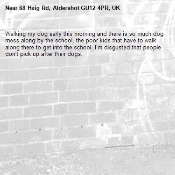 Walking my dog early this morning and there is so much dog mess along by the school, the poor kids that have to walk along there to get into the school. I’m disgusted that people don’t pick up after their dogs. -68 Haig Rd, Aldershot GU12 4PR, UK