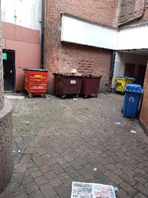 alleyway blocked by loads of bins. totally unsafe..also allows people to hide behind them to take drugs and use the alleyway as a toilet. -2 Morley Arcade, Leicester, LE1 5EQ