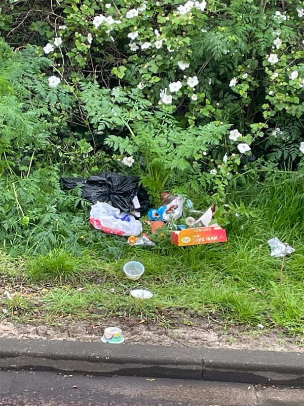 Black bag dumped on grass area opposite 2 Strait Road E6 garden. Foxes have ripped open. Please remove bag and now loose household rubbish asap-2 Strait Road, Beckton, London, E6 5PE
