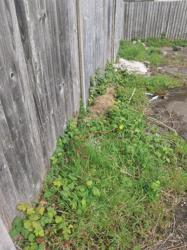 Hi
The picture is of what I think is building waste and garden waste dumped at the back of my fence-46 Brettell Road, Leicester, LE2 9AA