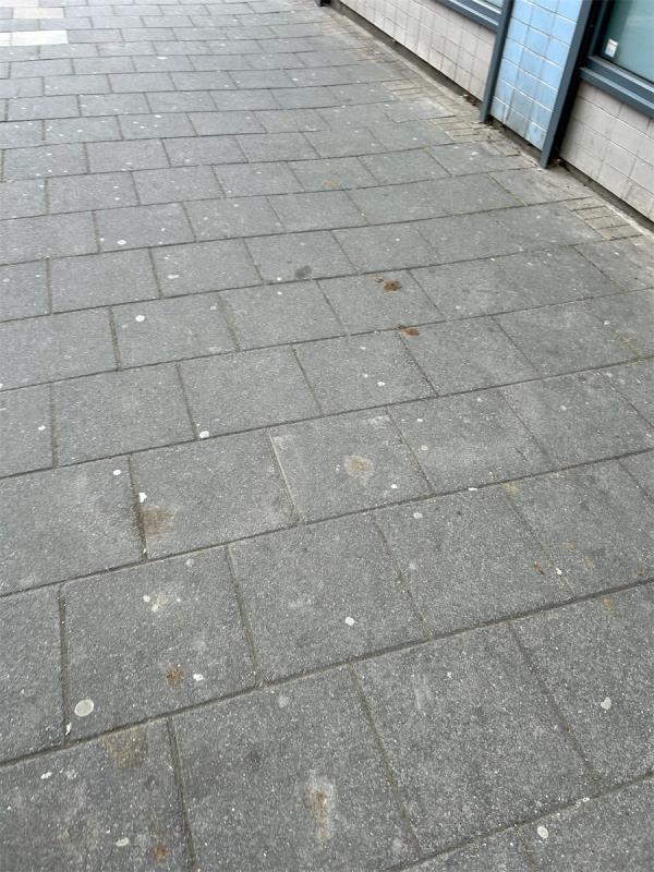 Dog fouling still spread across the pavement -William Hill, 453B, Barking Road, East Ham, London, E6 2JX