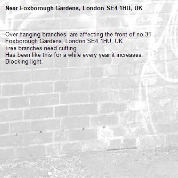 Over hanging branches  are affecting the front of no 31 Foxborough Gardens, London SE4 1HU, UK
Tree branches need cutting .
Has been like this for a while every year it increases.   Blocking light.-Foxborough Gardens, London SE4 1HU, UK