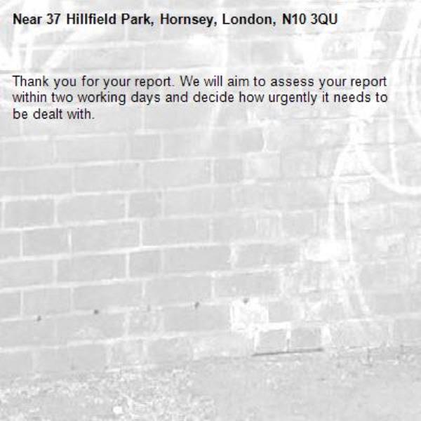 Thank you for your report. We will aim to assess your report within two working days and decide how urgently it needs to be dealt with.-37 Hillfield Park, Hornsey, London, N10 3QU