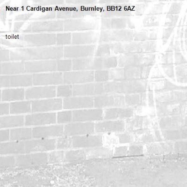 toilet -1 Cardigan Avenue, Burnley, BB12 6AZ