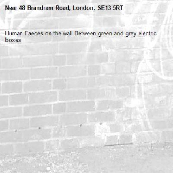 Human Faeces on the wall Between green and grey electric boxes-48 Brandram Road, London, SE13 5RT