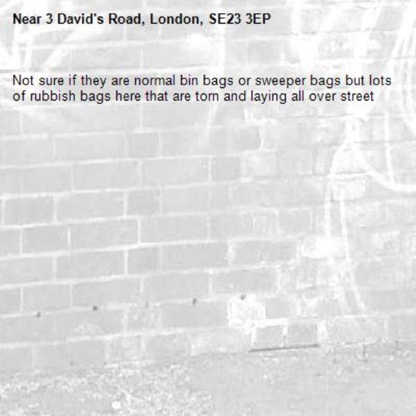 Not sure if they are normal bin bags or sweeper bags but lots of rubbish bags here that are torn and laying all over street -3 David's Road, London, SE23 3EP
