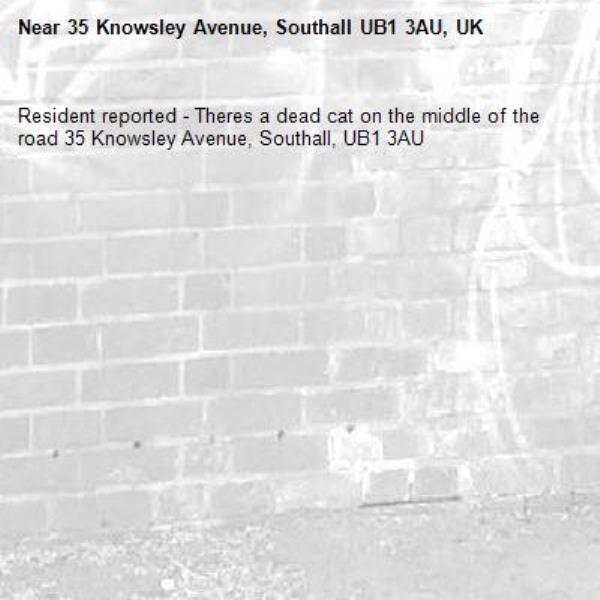 Resident reported - Theres a dead cat on the middle of the road 35 Knowsley Avenue, Southall, UB1 3AU-35 Knowsley Avenue, Southall UB1 3AU, UK