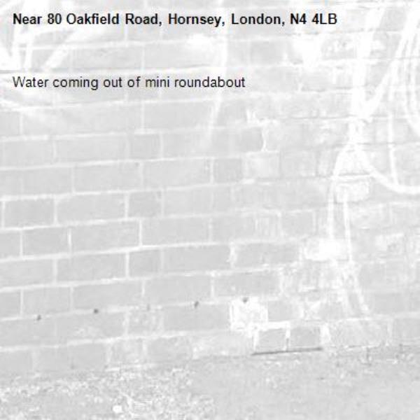 Water coming out of mini roundabout -80 Oakfield Road, Hornsey, London, N4 4LB