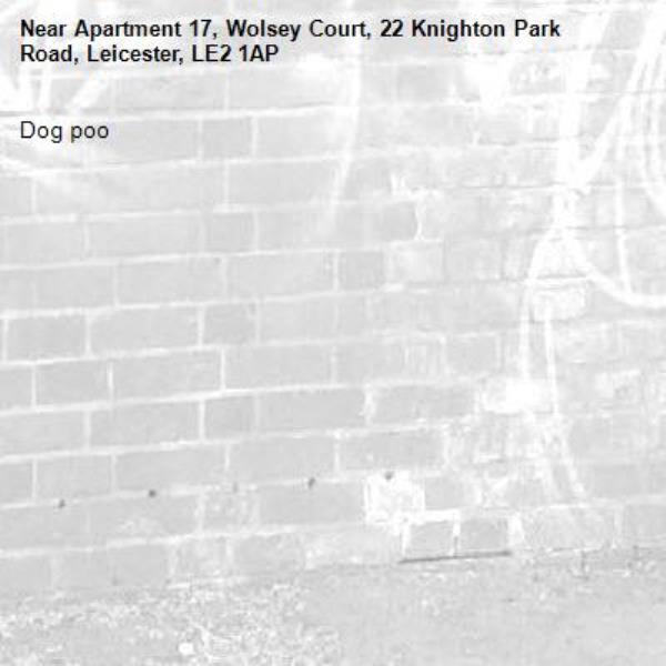 Dog poo-Apartment 17, Wolsey Court, 22 Knighton Park Road, Leicester, LE2 1AP