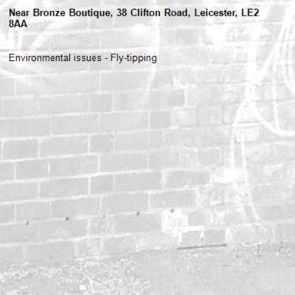 Environmental issues - Fly-tipping-Bronze Boutique, 38 Clifton Road, Leicester, LE2 8AA