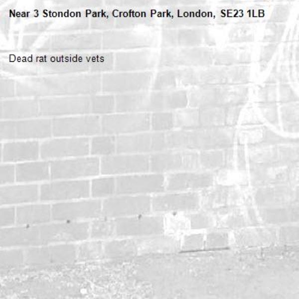 Dead rat outside vets -3 Stondon Park, Crofton Park, London, SE23 1LB