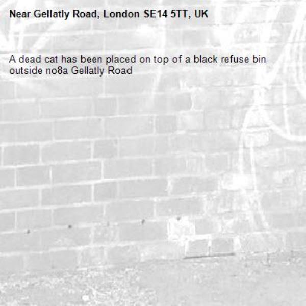 A dead cat has been placed on top of a black refuse bin outside no8a Gellatly Road-Gellatly Road, London SE14 5TT, UK