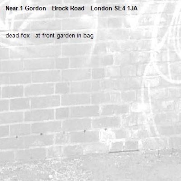 dead fox   at front garden in bag-1 Gordon   Brock Road   London SE4 1JA
