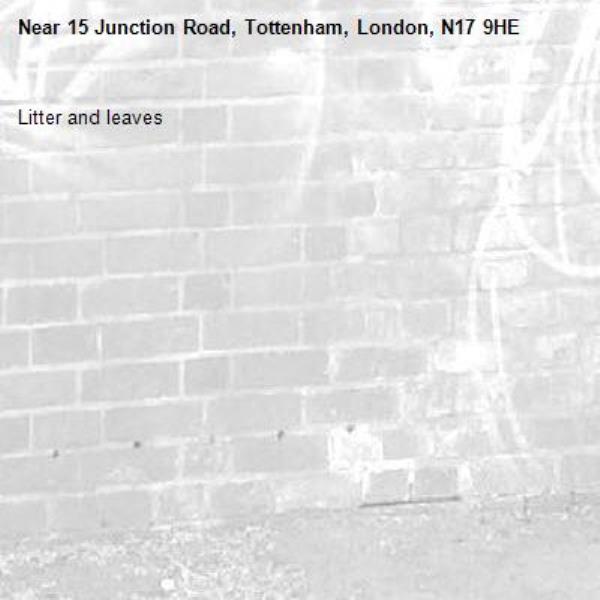 Litter and leaves-15 Junction Road, Tottenham, London, N17 9HE