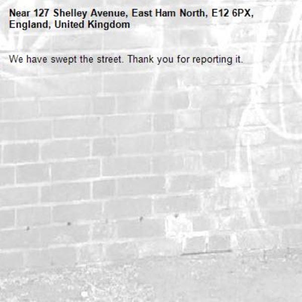 We have swept the street. Thank you for reporting it.-127 Shelley Avenue, East Ham North, E12 6PX, England, United Kingdom