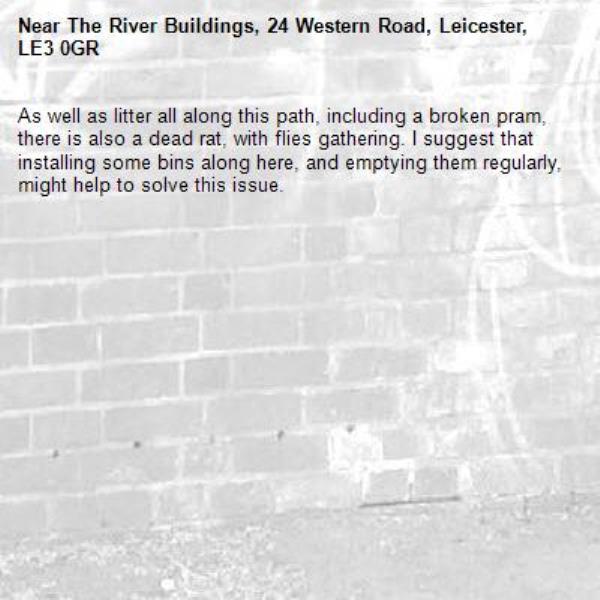 As well as litter all along this path, including a broken pram, there is also a dead rat, with flies gathering. I suggest that installing some bins along here, and emptying them regularly, might help to solve this issue.-The River Buildings, 24 Western Road, Leicester, LE3 0GR