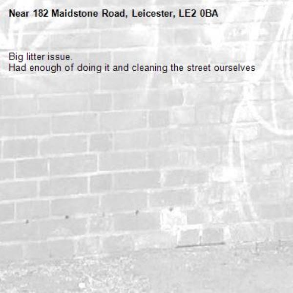 Big litter issue.
Had enough of doing it and cleaning the street ourselves -182 Maidstone Road, Leicester, LE2 0BA