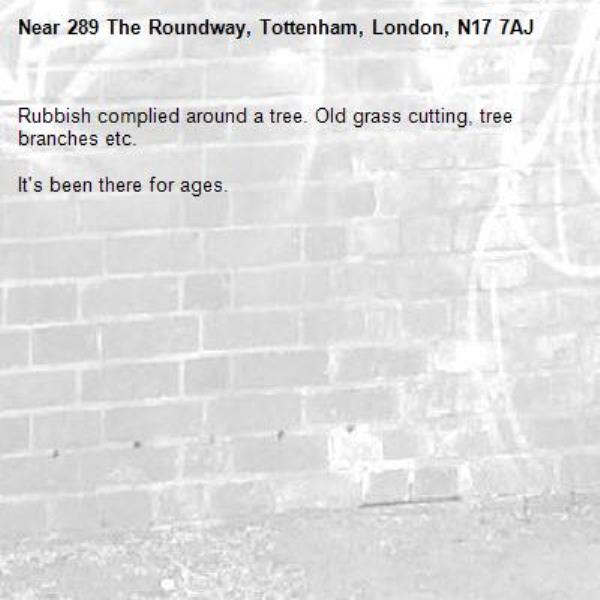 Rubbish complied around a tree. Old grass cutting, tree branches etc. 

It's been there for ages.-289 The Roundway, Tottenham, London, N17 7AJ