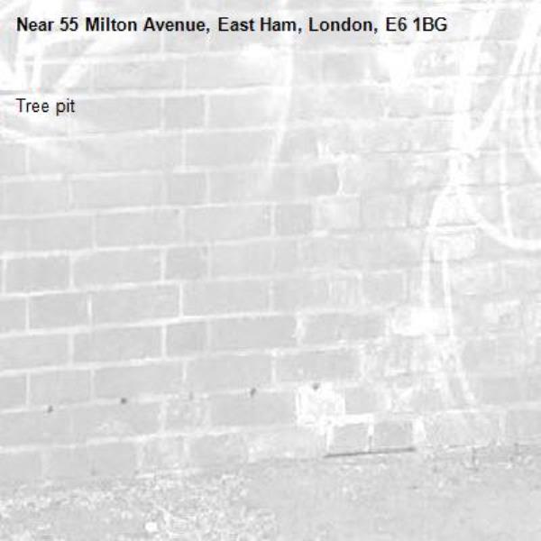 Tree pit-55 Milton Avenue, East Ham, London, E6 1BG