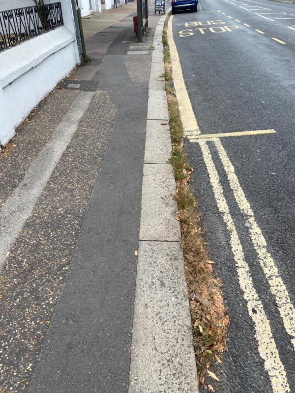 There is an abundance of vegetation on kerb side .locally there is a problem with heavy rain which causes flooding especially when drains are compromised . The whole length of kerbside has over grown vegetation -122 South Street, Tarring, BN14 7NB