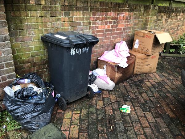 Please clear flytip of bags and cardboard-4 Canada Gardens, Hither Green, London, SE13 6PN