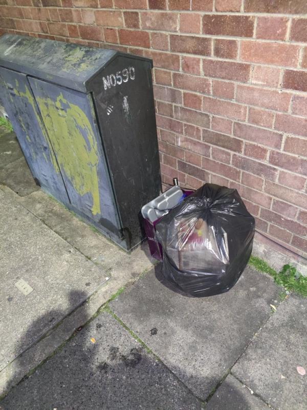 Some one has fly tipped a bag and box of rubbish-23 Westbury Road, Green Street West, E7 8BU, England, United Kingdom