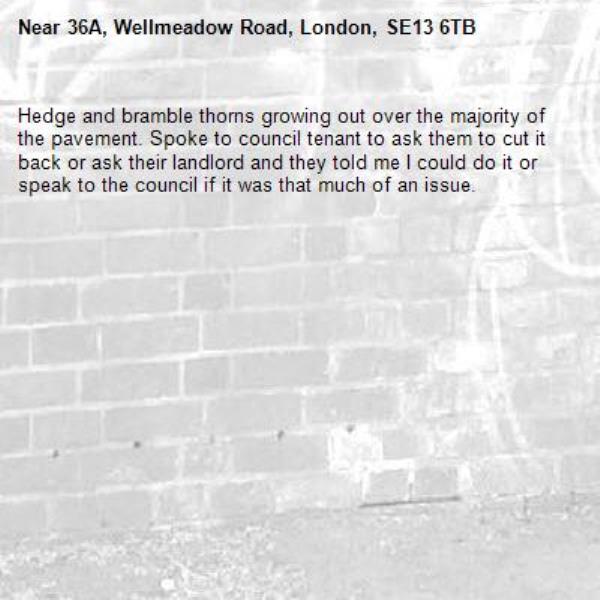 Hedge and bramble thorns growing out over the majority of the pavement. Spoke to council tenant to ask them to cut it back or ask their landlord and they told me I could do it or speak to the council if it was that much of an issue. -36A, Wellmeadow Road, London, SE13 6TB