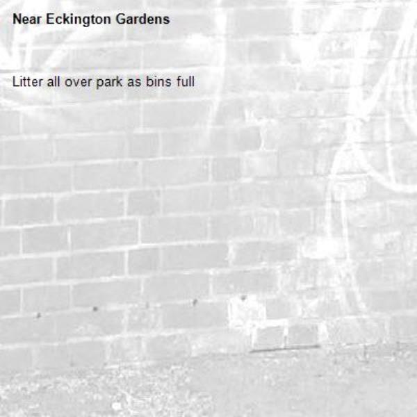 Litter all over park as bins full-Eckington Gardens