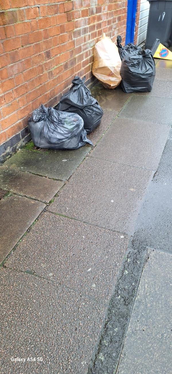 Bags full of rubbish dumped outside my garage door. -50 Orson Street, Leicester, LE5 5EN