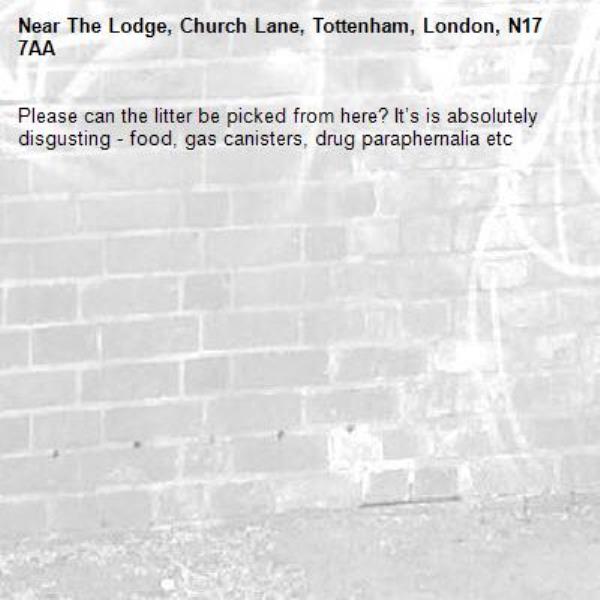 Please can the litter be picked from here? It’s is absolutely disgusting - food, gas canisters, drug paraphernalia etc-The Lodge, Church Lane, Tottenham, London, N17 7AA