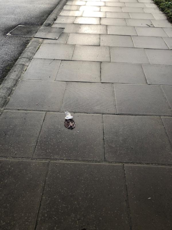 Litter on both sides of road-Temple Mills Lane, London, E20 2GL
