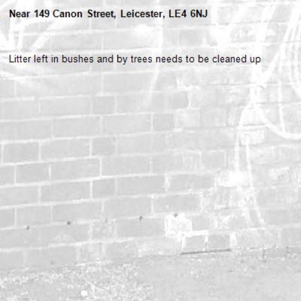 Litter left in bushes and by trees needs to be cleaned up -149 Canon Street, Leicester, LE4 6NJ