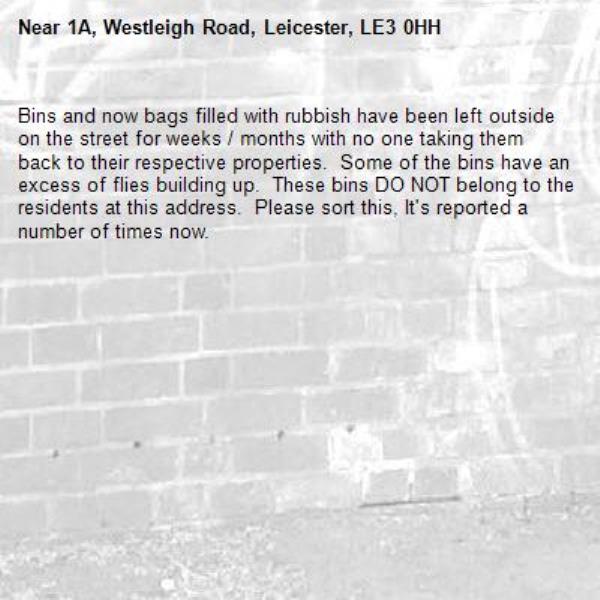 Bins and now bags filled with rubbish have been left outside on the street for weeks / months with no one taking them back to their respective properties.  Some of the bins have an excess of flies building up.  These bins DO NOT belong to the residents at this address.  Please sort this, It's reported a number of times now.-1A, Westleigh Road, Leicester, LE3 0HH