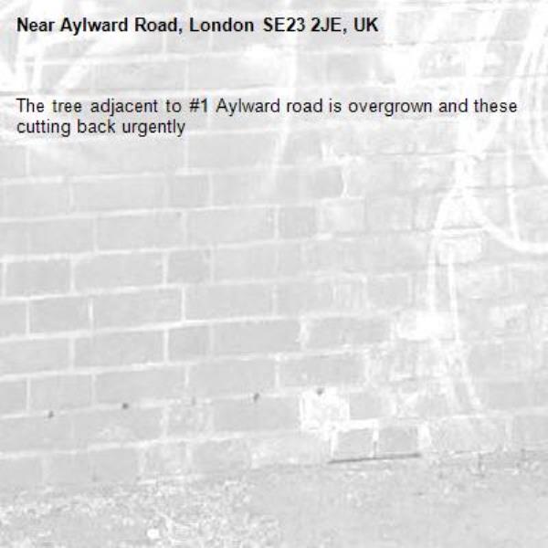 The tree adjacent to #1 Aylward road is overgrown and these cutting back urgently-Aylward Road, London SE23 2JE, UK