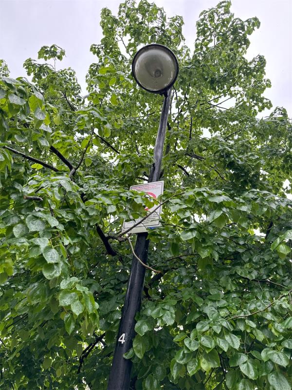 This street light is not working. 
Please urgently attend and fix.
There is increasing anti social behavior of men drinking and urniating and couples having sex at night. 
We have informed the Police.-14 Lavender Street, Stratford, London, E15 1ES
