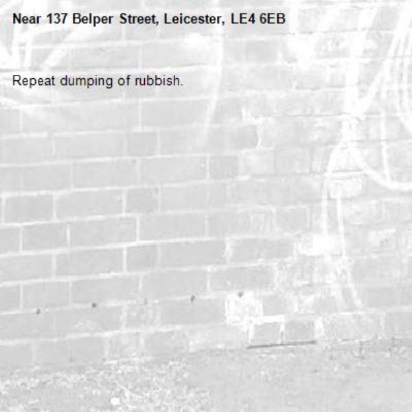 Repeat dumping of rubbish.-137 Belper Street, Leicester, LE4 6EB