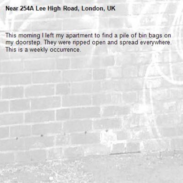 This morning I left my apartment to find a pile of bin bags on my doorstep. They were ripped open and spread everywhere. This is a weekly occurrence.-254A Lee High Road, London, UK