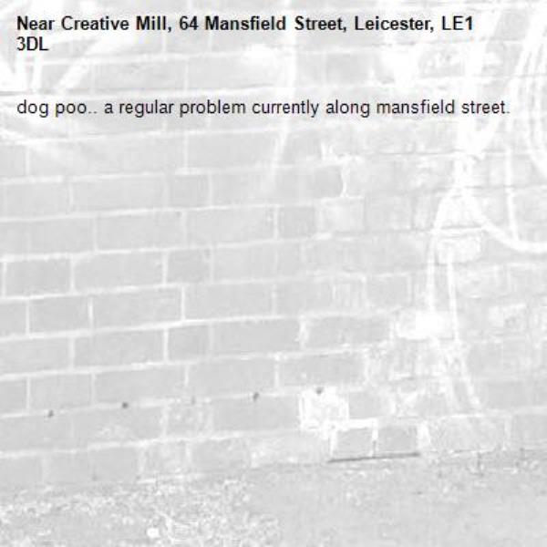 dog poo.. a regular problem currently along mansfield street.-Creative Mill, 64 Mansfield Street, Leicester, LE1 3DL