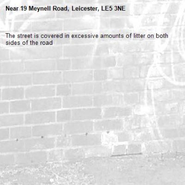 The street is covered in excessive amounts of litter on both sides of the road-19 Meynell Road, Leicester, LE5 3NE