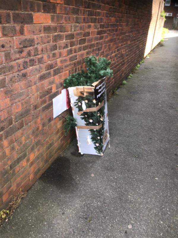 Alleyway to side of No 91. Please clear a Christmas Tree-88 Henry Cooper Way, Grove Park, London, SE9 4JG