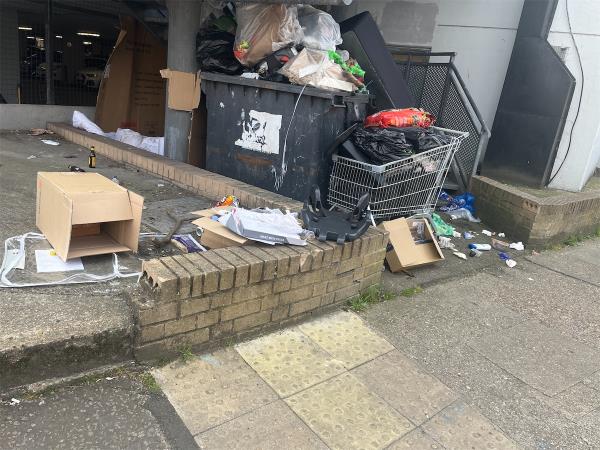 A bunch of mess, large bin trolley waste rough sleepers have made a home also big problem-2 Holbeach Road, London, SE6 4TW