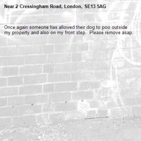 Once again someone has allowed their dog to poo outside my property and also on my front step.  Please remove asap.-2 Cressingham Road, London, SE13 5AG