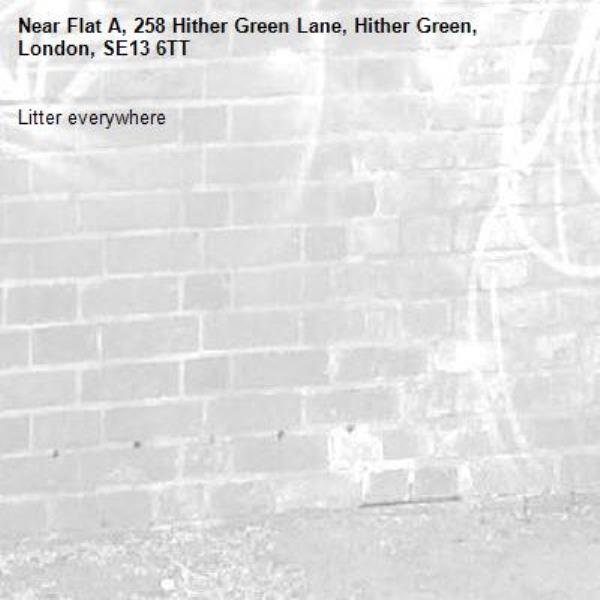 Litter everywhere -Flat A, 258 Hither Green Lane, Hither Green, London, SE13 6TT