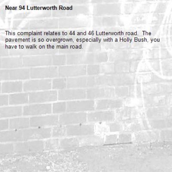 This complaint relates to 44 and 46 Lutterworth road.  The pavement is so overgrown, especially with a Holly Bush, you have to walk on the main road.-94 Lutterworth Road 