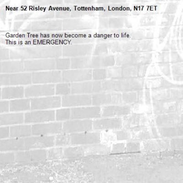 Garden Tree has now become a danger to life.
This is an EMERGENCY.-52 Risley Avenue, Tottenham, London, N17 7ET
